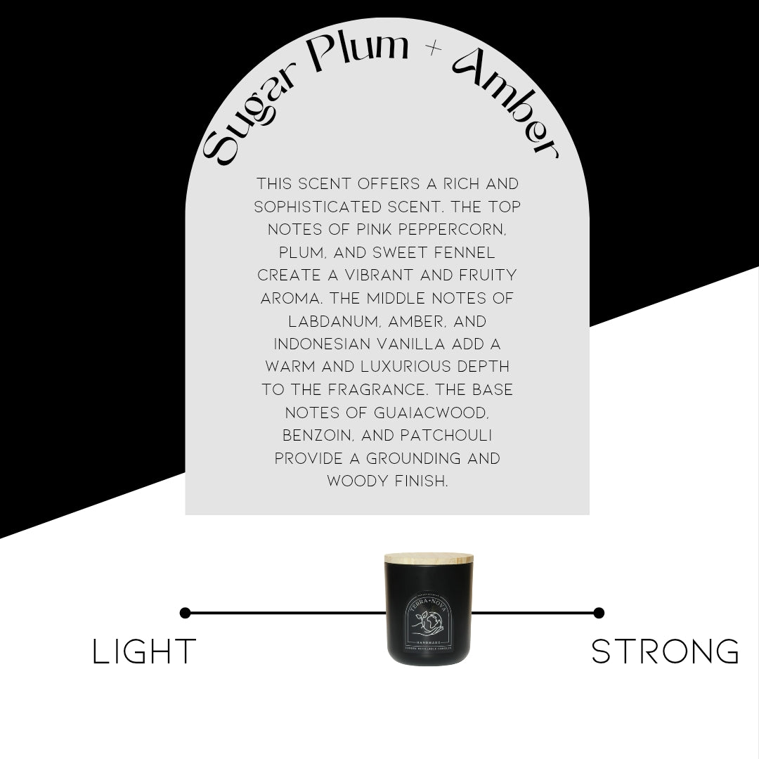 Sugar Plum + Amber Candle Refill (12 oz)