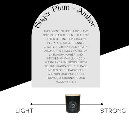 Sugar Plum + Amber Candle Refill (12 oz)