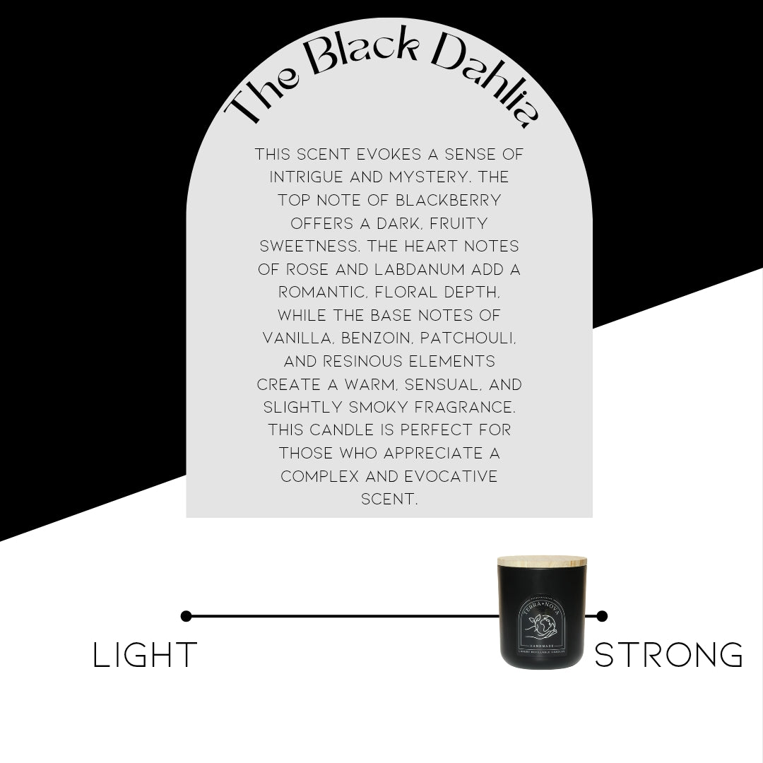The Black Dahlia Candle Refill (12 oz)