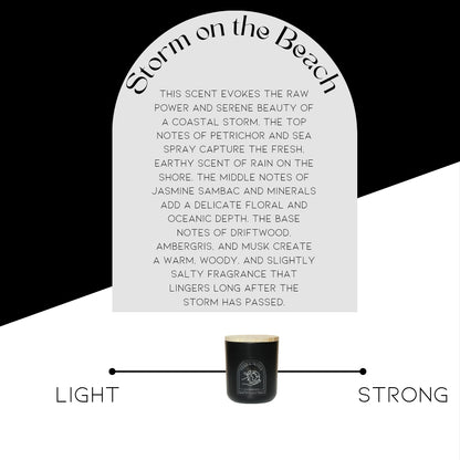 Storm on the Beach Candle Refill (12 oz)