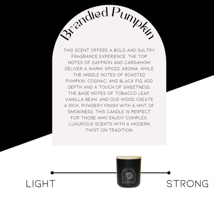 Brandied Pumpkin Candle Refill (12 oz)